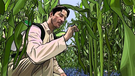 A Scanner Darkly - Final Scene - YouTube