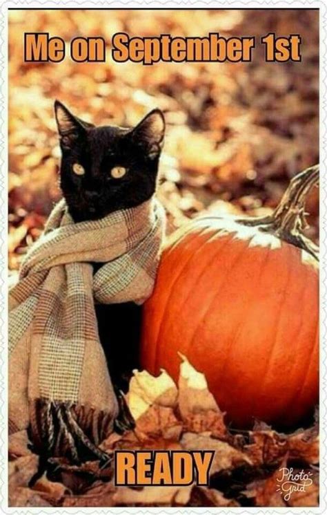 30 Fall Memes for the Autumn-Obsessed - Funny Fall Memes