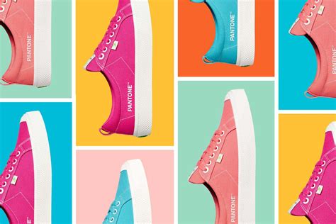 The Cariuma Shoes Ashton Kutcher Wears Come in New Pantone Colors