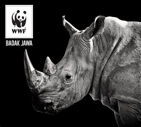 WWF Indonesia - Projects : Kamarupa