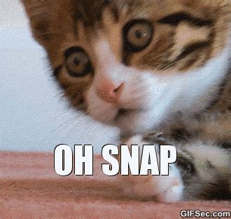 Oh Snap GIFs - Find & Share on GIPHY