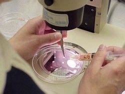 Toxicology Laboratory Testing Services in India