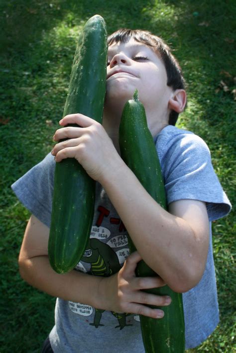 harvest: enormous cucumber | It's been a good year for cucum… | Flickr