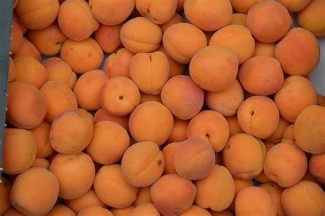 Box Of Apricots Free Stock Photo - Public Domain Pictures
