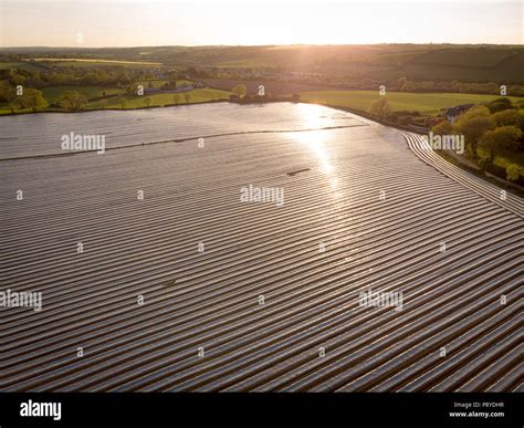 Ploughed field during sunset Stock Photo - Alamy