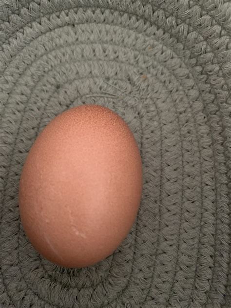 Double Laced Barnevelder eggs | EggSellent.com.au