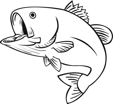 Pin by Deanna Perry on HTV Images | Fish coloring page, Fish drawings, Fish outline