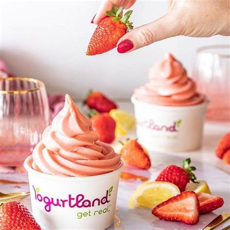 Here's the Complete Guide to Vegan Flavors at Yogurtland