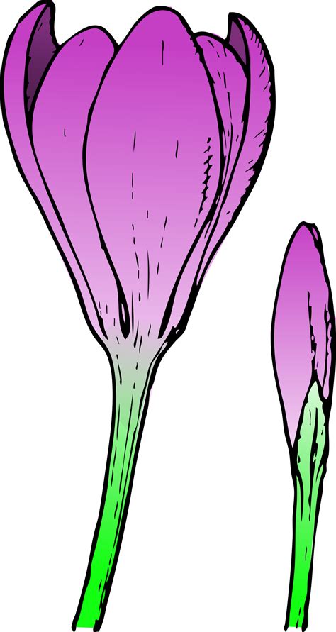 Spring flowers spring flower clip art images clipart - Cliparting.com