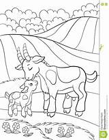 Mountain Goat Coloring Pages At GetColoringscom  Free Printable sketch template