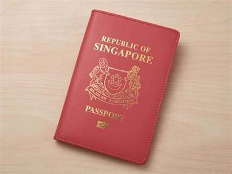 Netizens baffled by 'Singapore passport covers' on e-commerce site ...