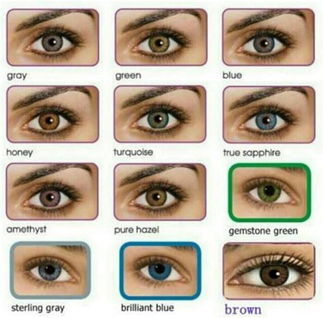 eye color chart eyes eyecolors eye color chart eye color facts - all about the human eye color ...