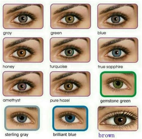 eye color eye colour eye colors eye colours eye chart eye - how to ...