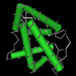 Beta Globin Protein Structure - Human Hemoglobin (HbA) and the HBB gene