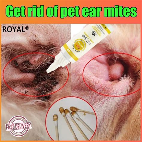 Anti Ear Mites Anti Fungal Antibiotic Ear Drops for Dogs and Cats ...