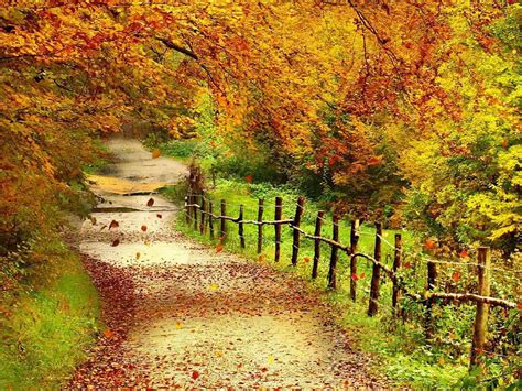 🔥 [50+] Beautiful Fall Scenery Wallpapers | WallpaperSafari