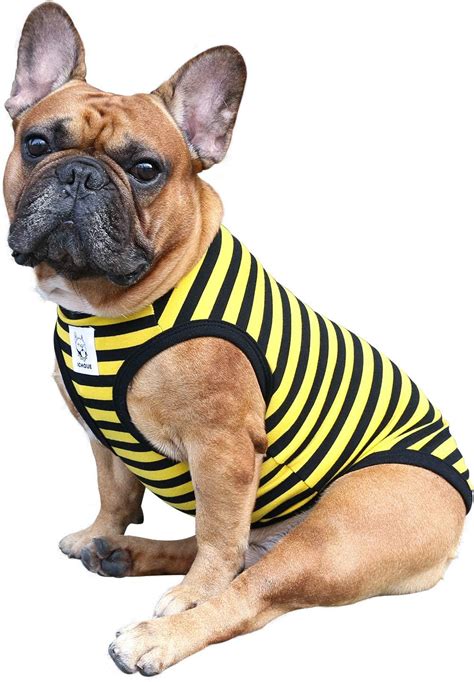 French Bulldog Clothes - Top 15 French Bulldog Clothes You Can Buy