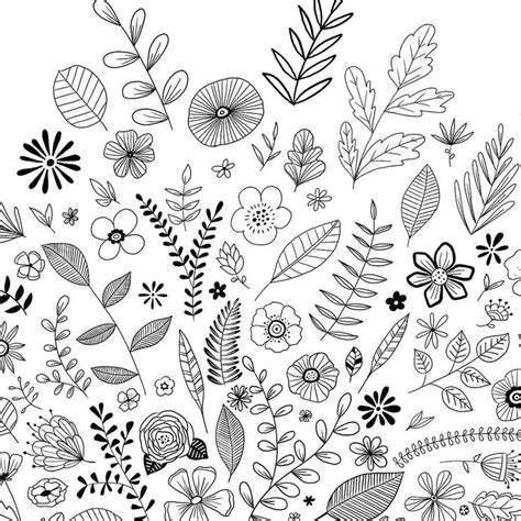 Black & white flowers | Doodle art flowers, Flower drawing, Flower doodles