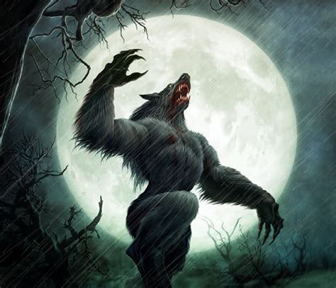 Outta the Way: Werewolf of Northumberland, Pennsylvania