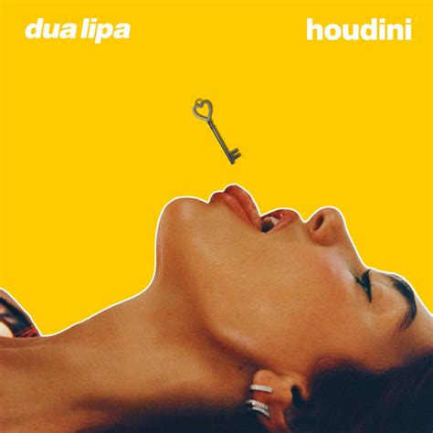 DUA LIPA - HOUDINI by msilva23 on DeviantArt