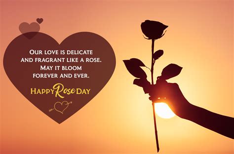 Happy Rose Day: Wishes, Images, Status, Quotes for Whatsapp and ...