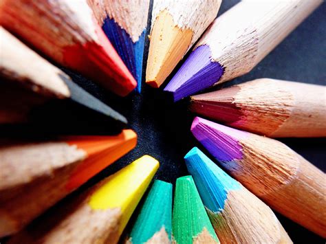 Free Images : pencil, wood, leaf, flower, petal, color, paint, blue, close up, pens, draw ...