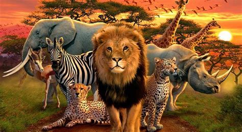 African Animals List, Facts, Conservation Status, Pictures