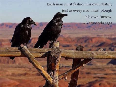 Be self determined | Raven bird, Crow, Crows ravens