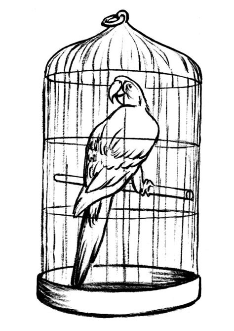 Parrot In Bird Cage For Sale Coloring Pages : Best Place to Color Santa Coloring Pages, Dog ...