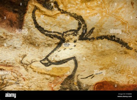 Prehistoric cave paintings of auroch (now extinct wild bull), Lascaux IV caves, Perigord ...