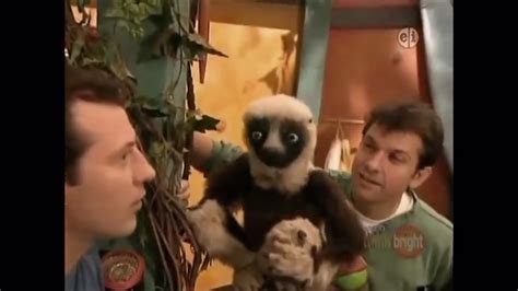 Zoboomafoo Now