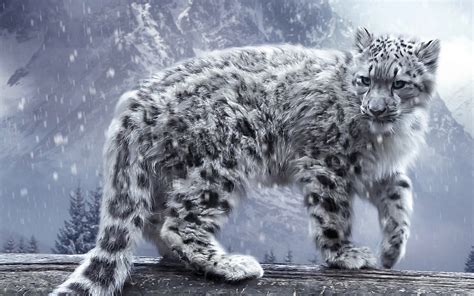 Snow Leopard - Animals Wallpaper (33903438) - Fanpop