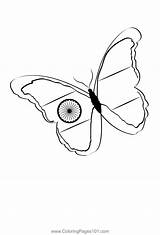 Flag India Indian Coloring Drawing Pages Sketch Printable Colouring  sketch template
