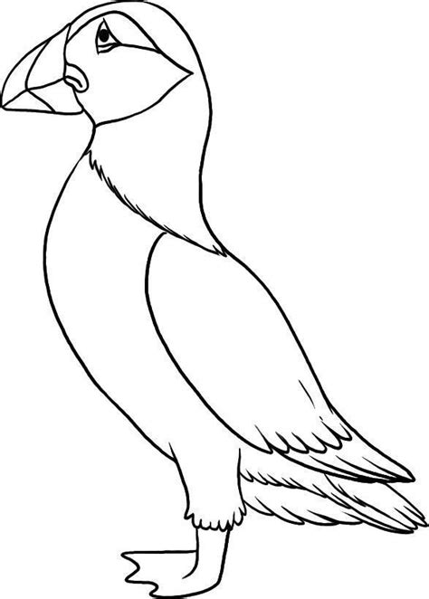 Top 10 Puffin Coloring Pages For Toddlers | Bird drawings, Coloring pages, Puffin