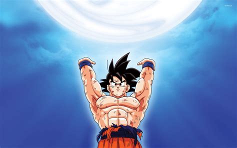 Goku - Dragon Ball Z [3] wallpaper - Anime wallpapers - #15714