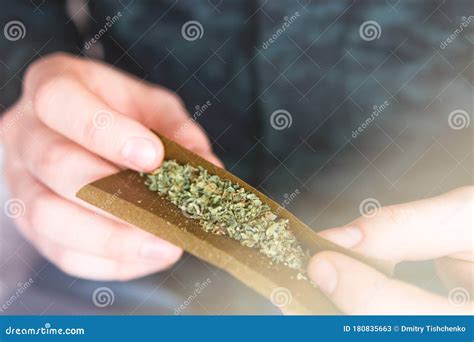 Man Preparing and Rolling Marijuana Cannabis Blunt. Close Up Stock Image - Image of smoking ...