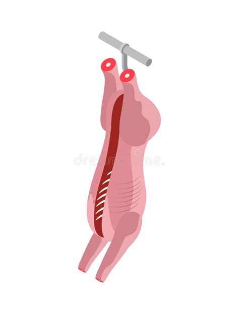 Meat Carcass Icon stock vector. Illustration of farm - 273019954