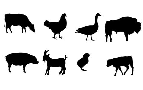 Free Vectors: Farm animals Vector graphics | 0tutor