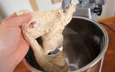 How to Knead Dough Like a Pro! – 7 Kneading Methods Rated