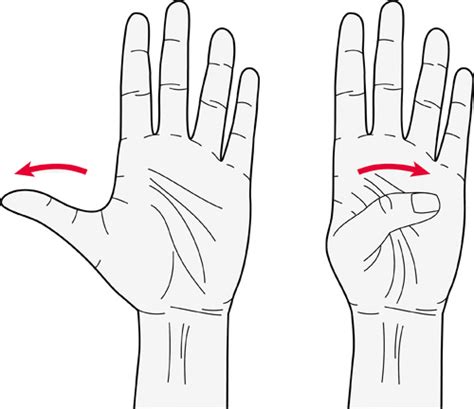 Exercises for the fingers, hands and wrists | Versus Arthritis