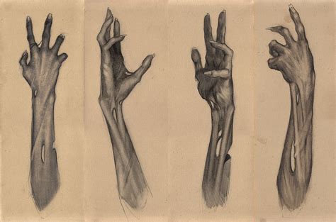 Sam Wolfe Connelly | Human anatomy drawing, Anatomy art, Portrait sketches