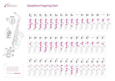 Saxophone fingering chart - Interactive tool for all saxophone players