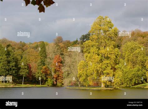 Autumn (Fall) colours in an English woodland Stock Photo - Alamy