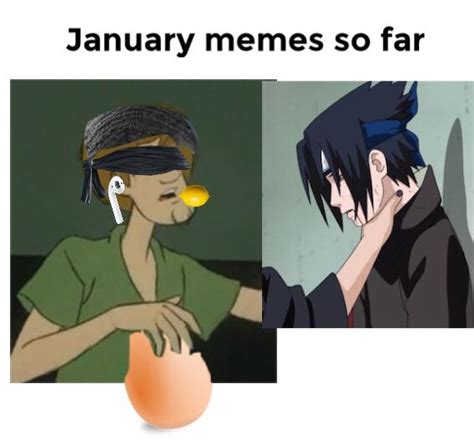 Updated: January memes so far : r/memes