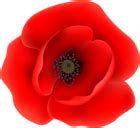 Poppy Flower Clip Art Transparent Image | Gallery Yopriceville - High-Quality Free Images and ...