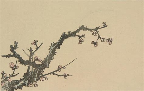 Katsushika Hokusai: Untitled (Cherry Blossoms), from the portfolio Hokusai's Shashin Gwofu ...