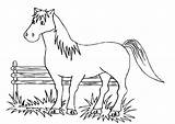 Free Printable Horse Coloring Pages For Kids sketch template