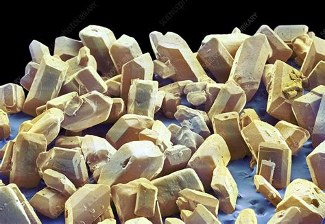 Sugar crystals, SEM - Stock Image - C004/6531 - Science Photo Library