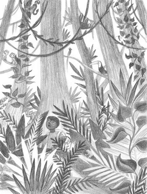 Rainforest Tree Drawing at GetDrawings | Free download