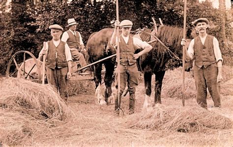 Agricultural Workers Strike - swanbournehistory.co.uk